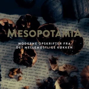Mesopotamia