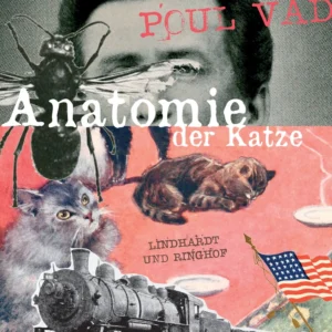 Anatomie der Katze
