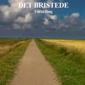 Det bristede