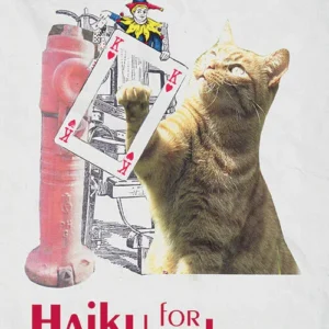 Haiku for enhver
