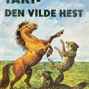 Taki - den vilde hest