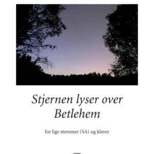 Stjernen lyser over Betlehem (SA)