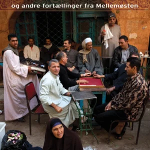 Misforståelsen og andre fortællinger fra Mellemøsten