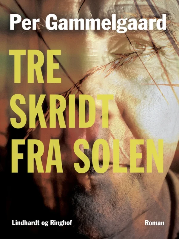 Tre skridt fra solen