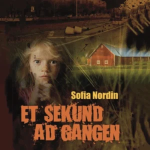 Et sekund ad gangen