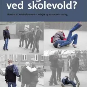 Hvd gør I ved skolevold?