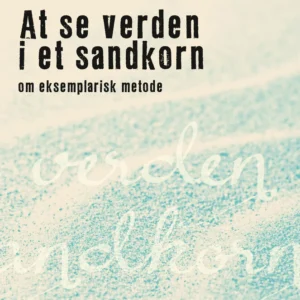 Det metodologiske begreb om det eksemplariske