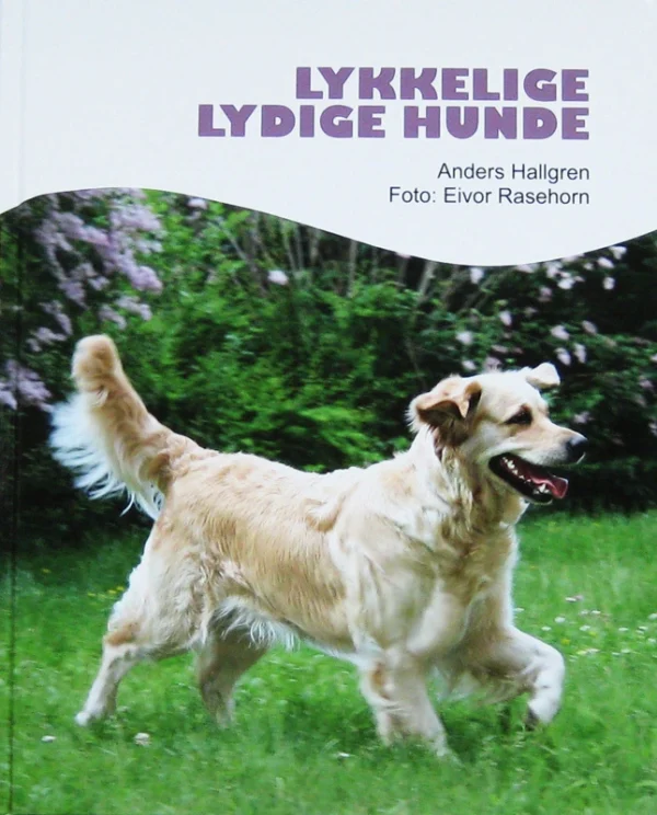Lykkelige lydige hunde