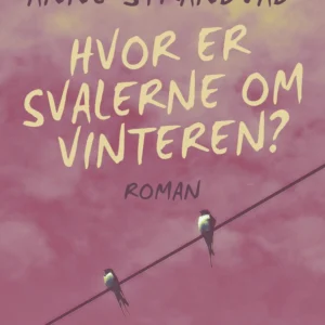 Hvor er svalerne om vinteren?