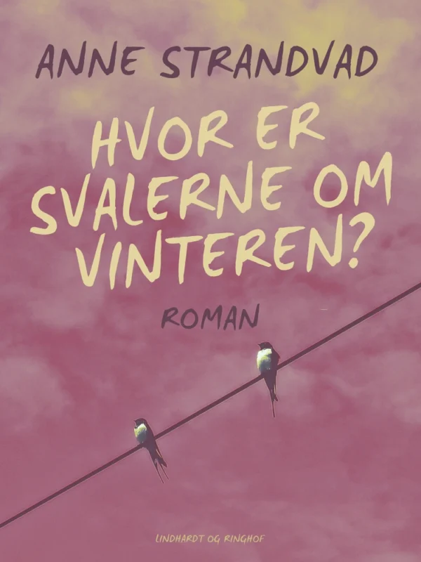 Hvor er svalerne om vinteren?