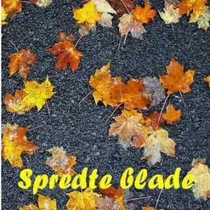 Spredte blade