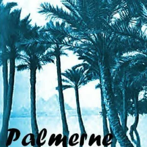 Palmerne