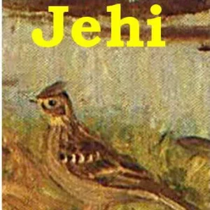 Jehi