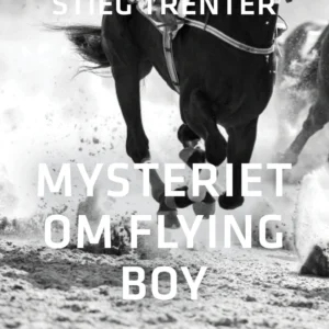 Mysteriet om Flying Boy