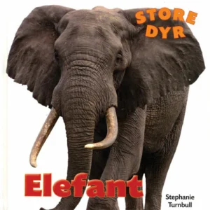 Elefant
