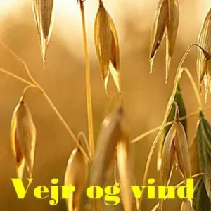 Vejr og Vind og Folkesind
