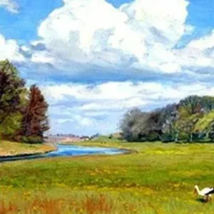 Luft og land