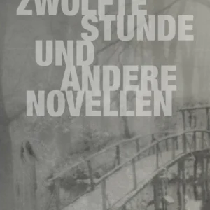 Die zwölfte Stunde und andere Novellen