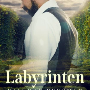Labyrinten