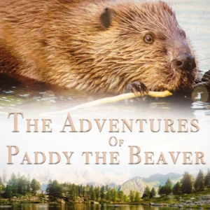 The Adventures of Paddy the Beaver
