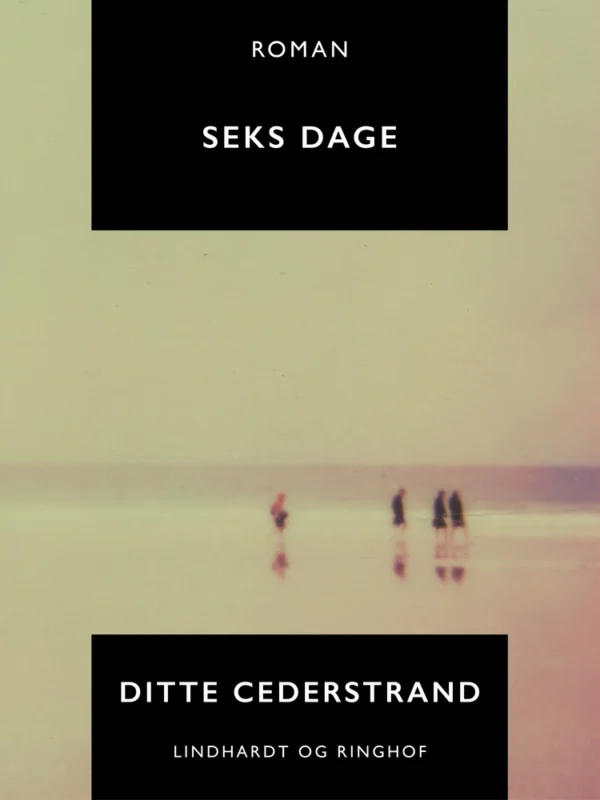 Seks dage