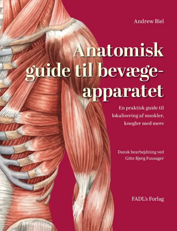 Anatomisk guide til bevægeapparatet