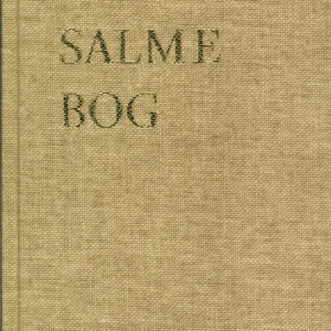 Den Danske Salmebog - Kirkesalmebog brun