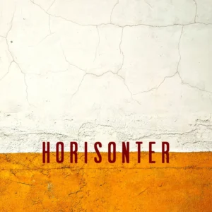 Horisonter