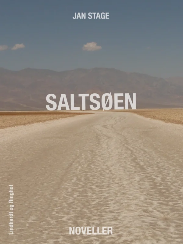 Saltsøen