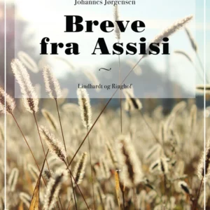 Breve fra Assisi