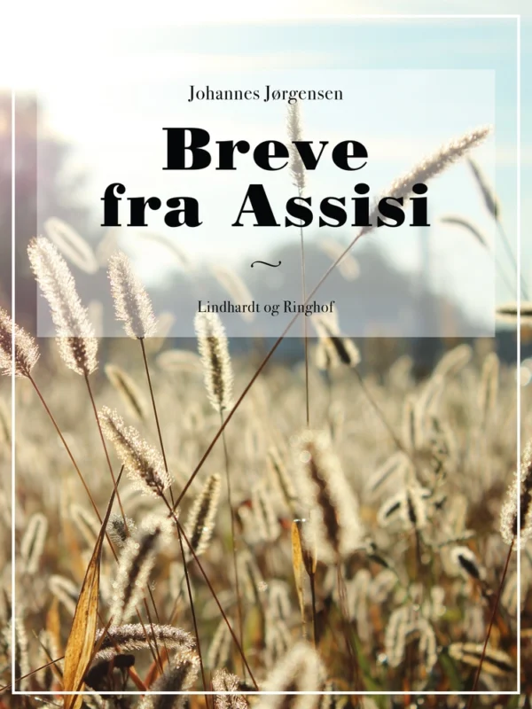 Breve fra Assisi