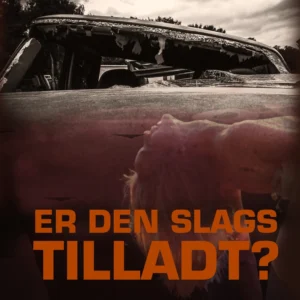 Er den slags tilladt?