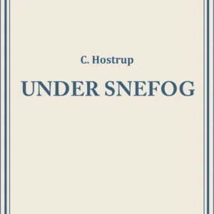 Under snefog