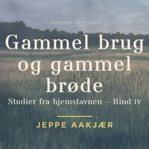 Gammel brug og gammel brøde