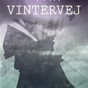 Vintervej