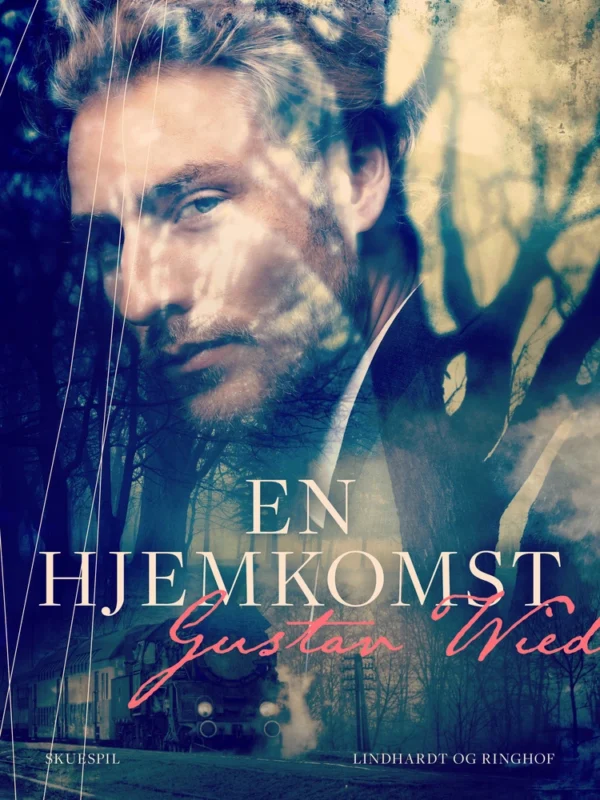 En hjemkomst