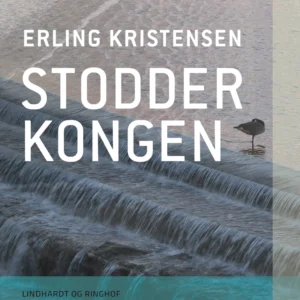 Stodderkongen