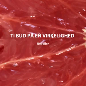 Ti bud på en virkelighed