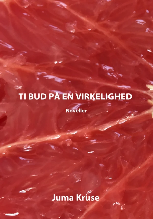 Ti bud på en virkelighed