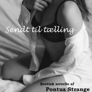 Sendt til tælling