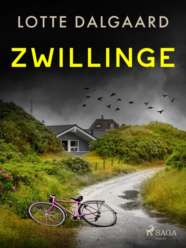 Zwillinge