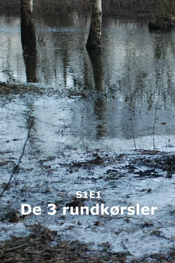 De 3 rundkørsler