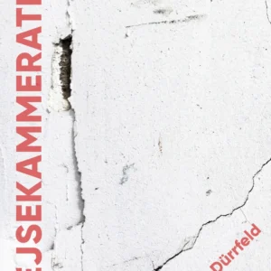 Rejsekammeraten