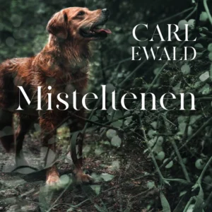 Misteltenen