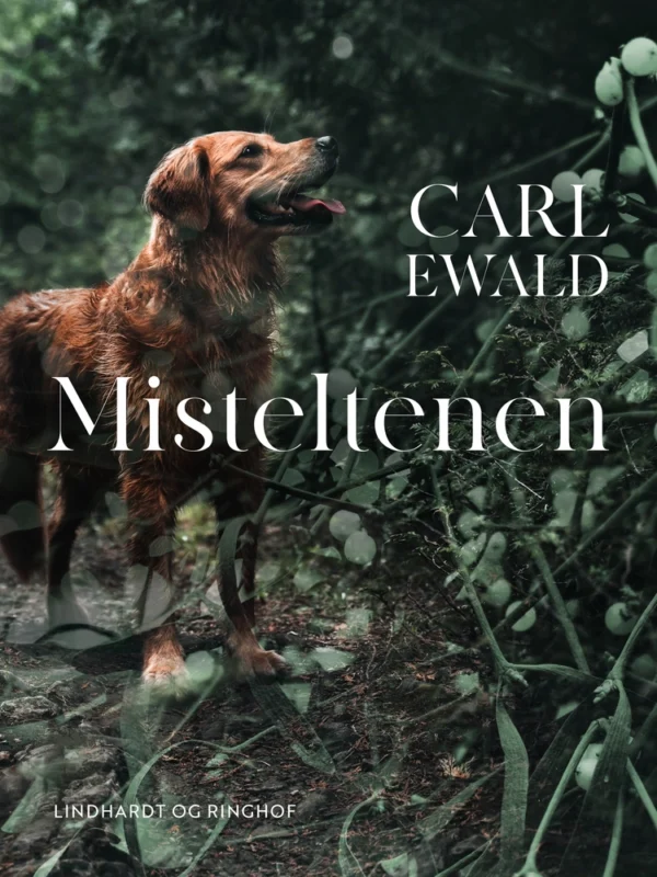 Misteltenen