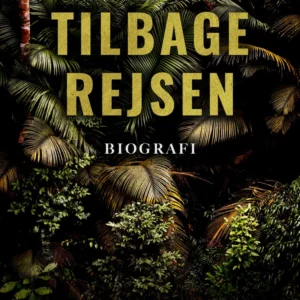 Tilbagerejsen
