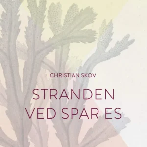 Stranden ved Spar Es