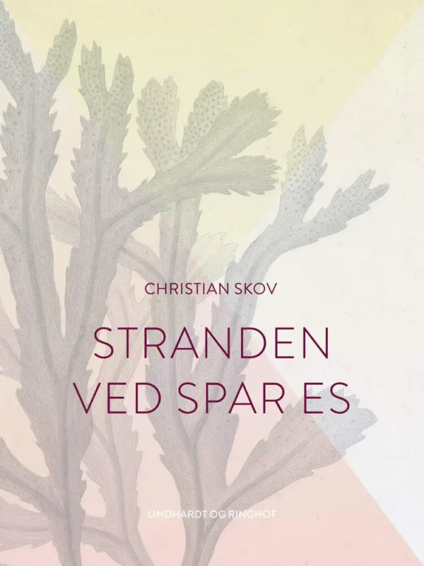 Stranden ved Spar Es