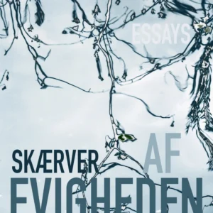 Skærver af evigheden