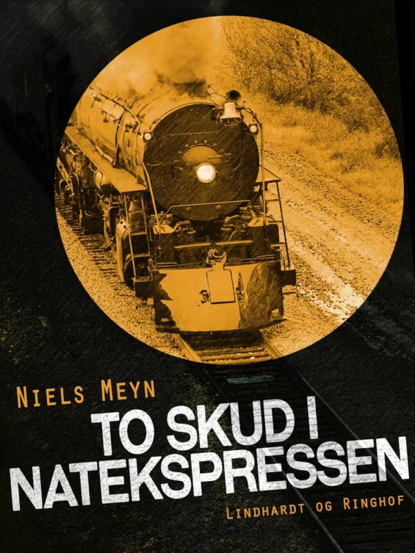 To skud i Natekspressen